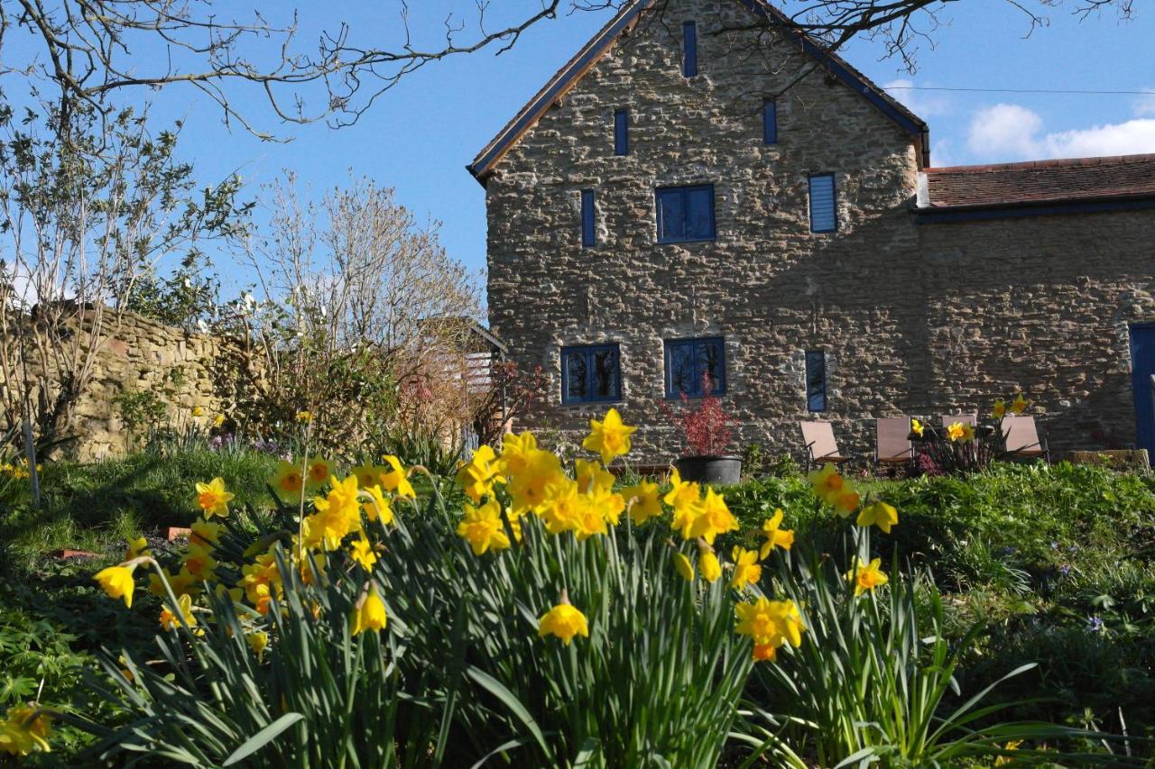 Prospect Barn Bed and Breakfast Hereford Eksteriør billede