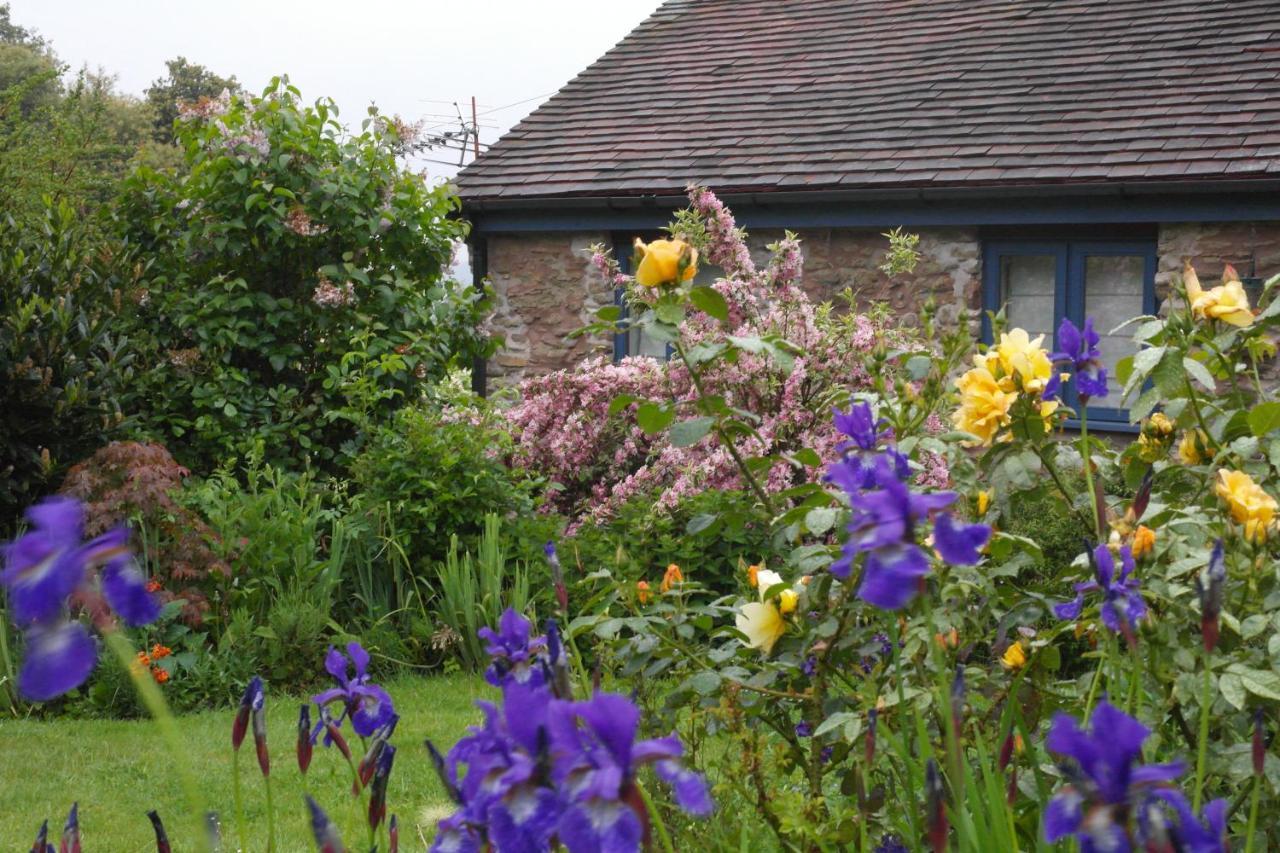 Prospect Barn Bed and Breakfast Hereford Eksteriør billede