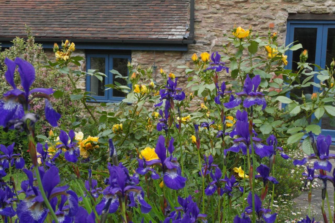 Prospect Barn Bed and Breakfast Hereford Eksteriør billede